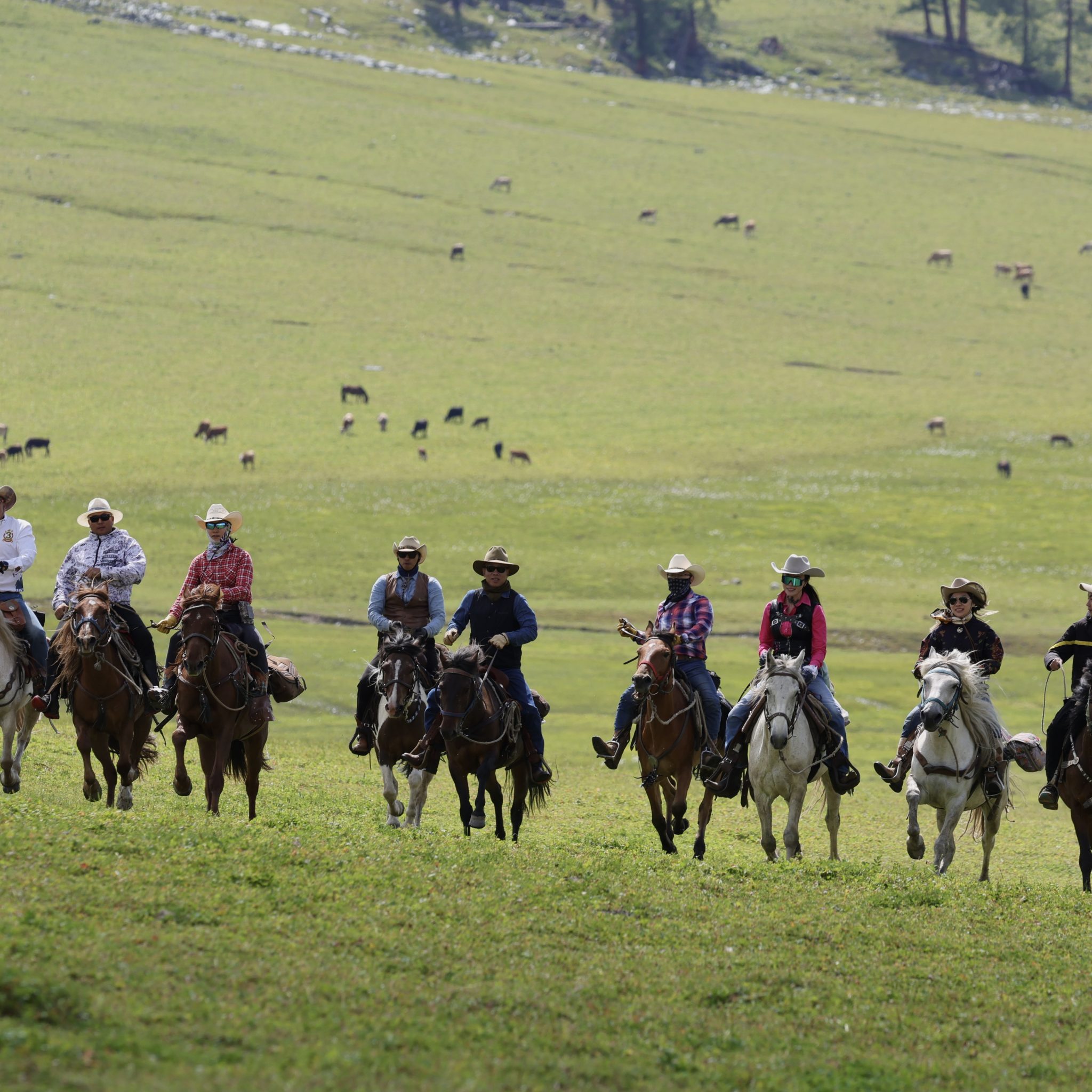 85f53dc26cf945d11c70daea164c91f8 2