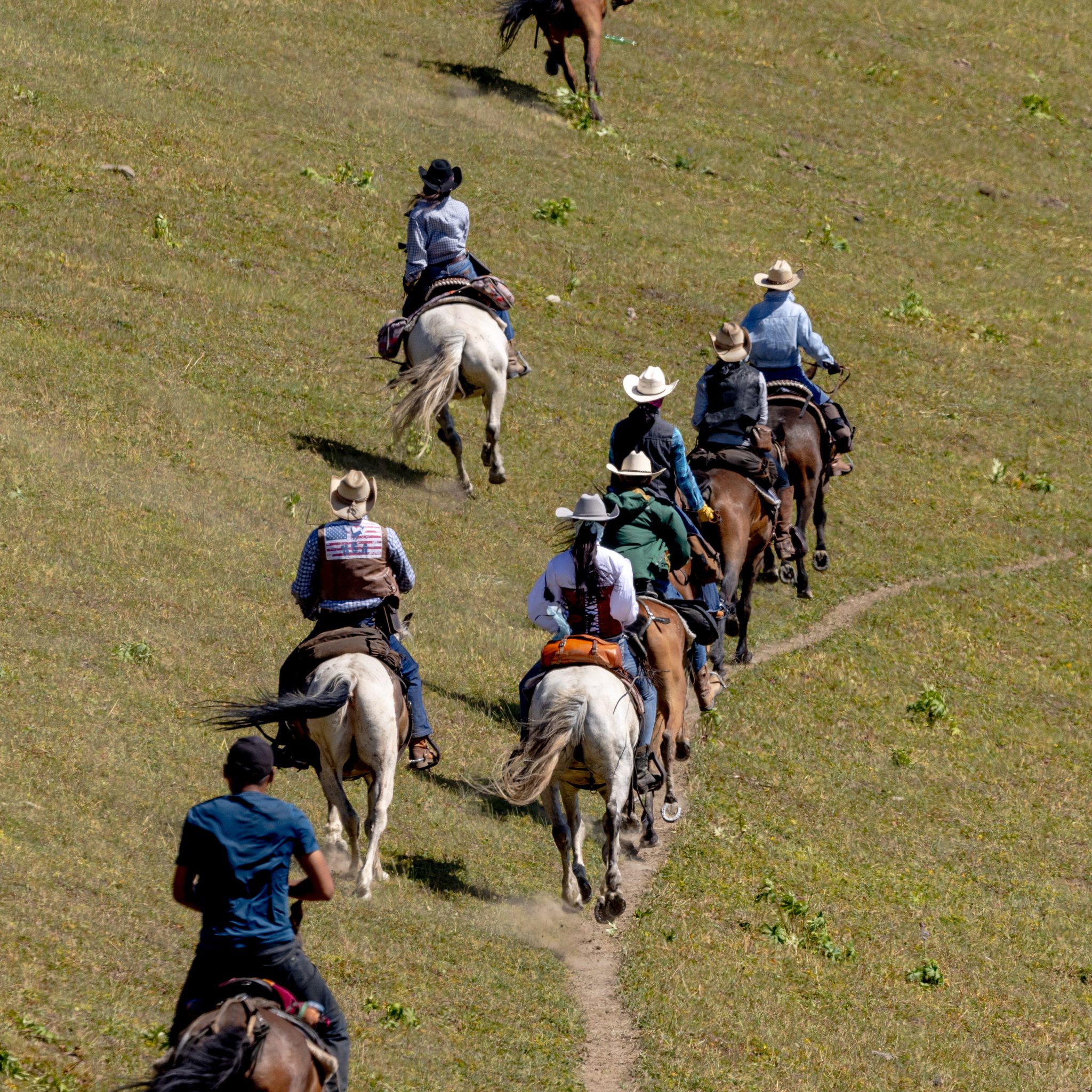 e067e58341483704f405cdb3d632e5ec