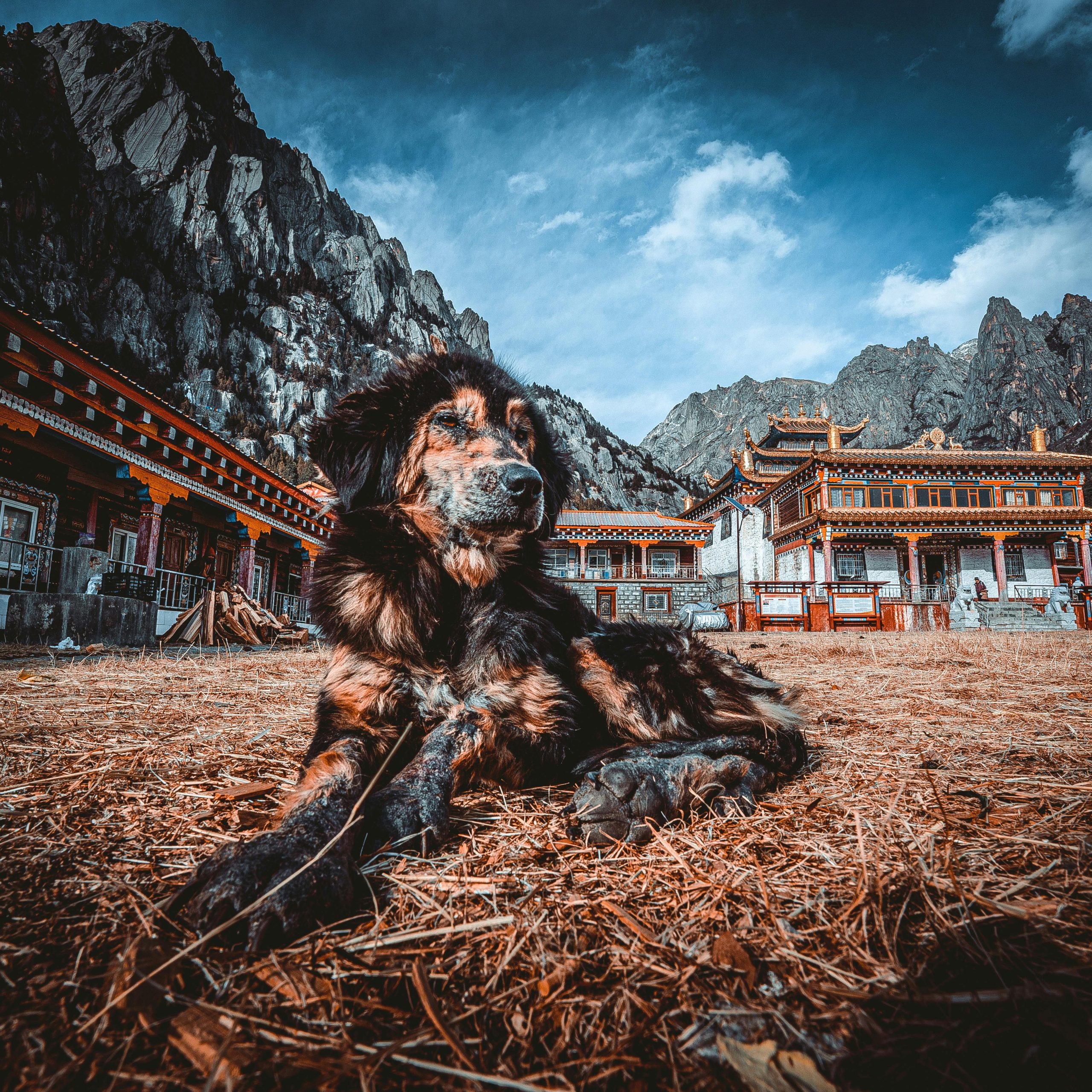 wandercathay
