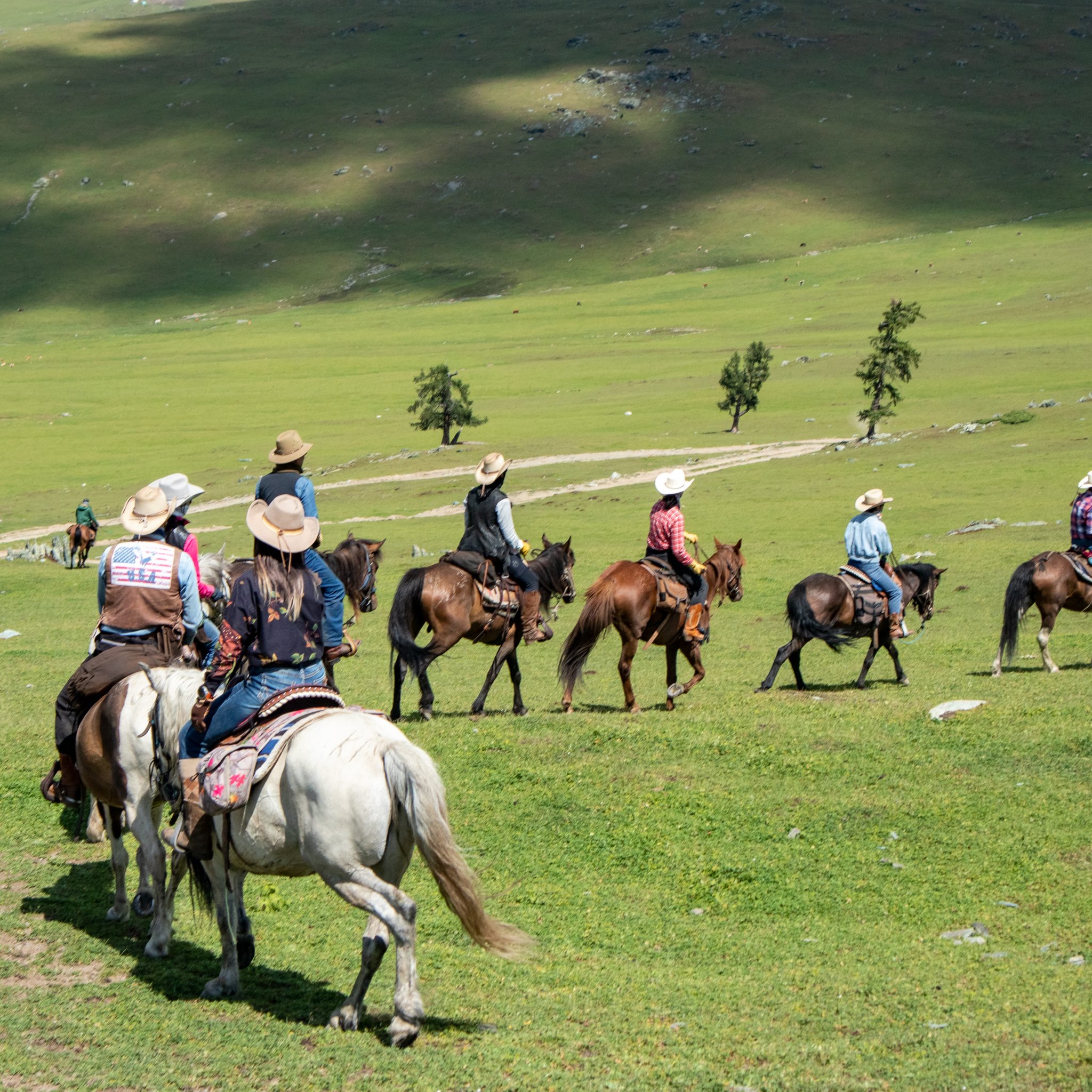 cf5c9a6e99de10f7f2cf2f19eb2b0ea4